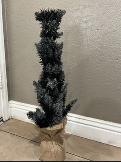 Small Black Christmas Tree 🎄