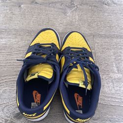 Nike Dunk Low Michigain 