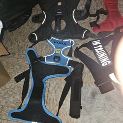 Dog Harnesses And Leashes $6 EACH