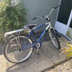 Adult   Bike. 