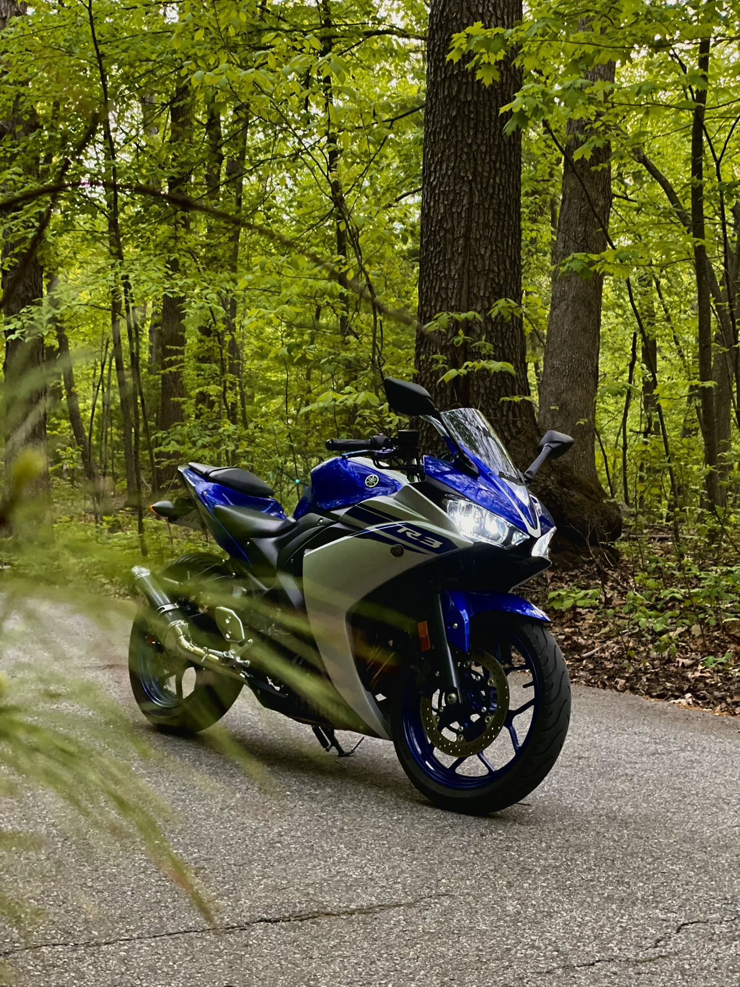 2016 Yamaha YZF-R3