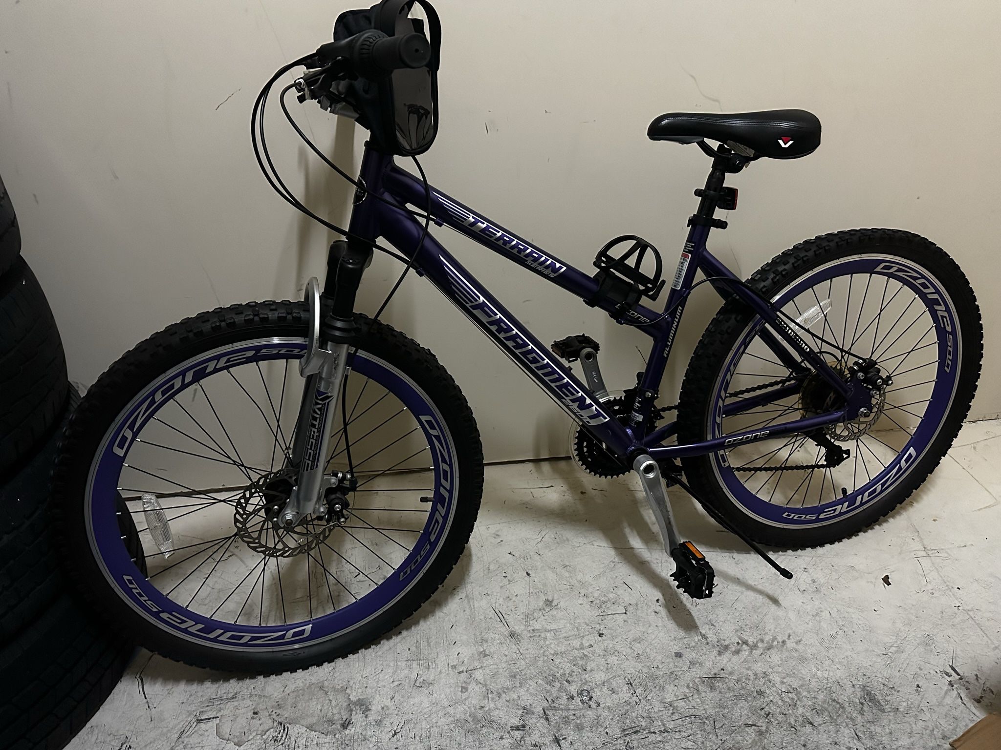 Purple Terrian Bike