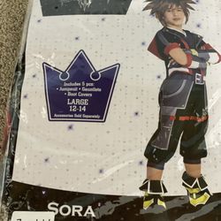 Halloween Costume - Sora