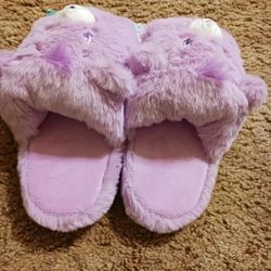 Care Bears Slippers Size 11
