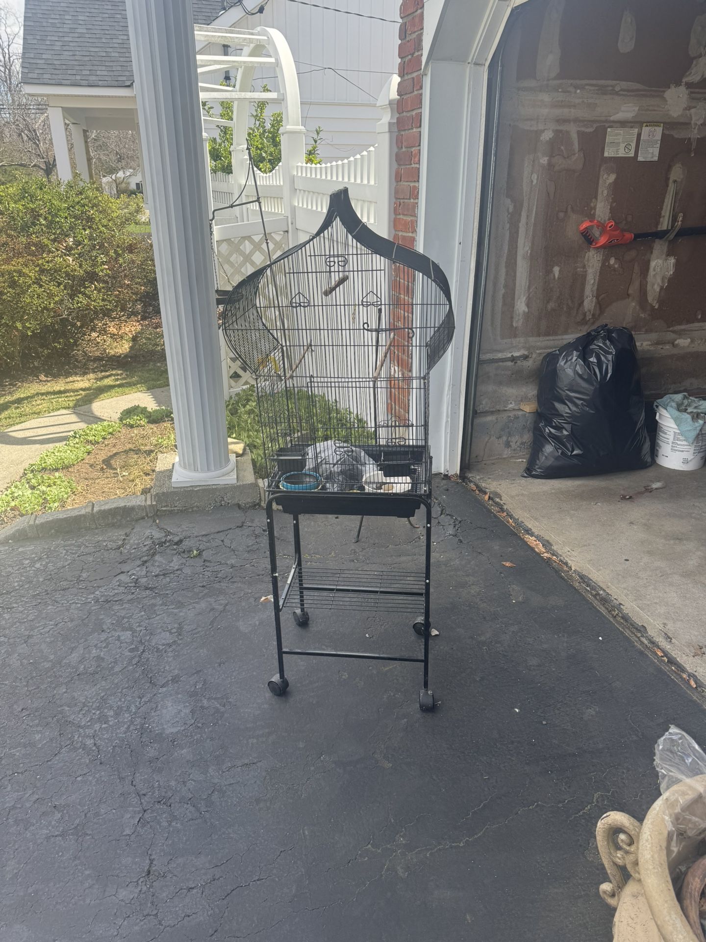 Bird Cage