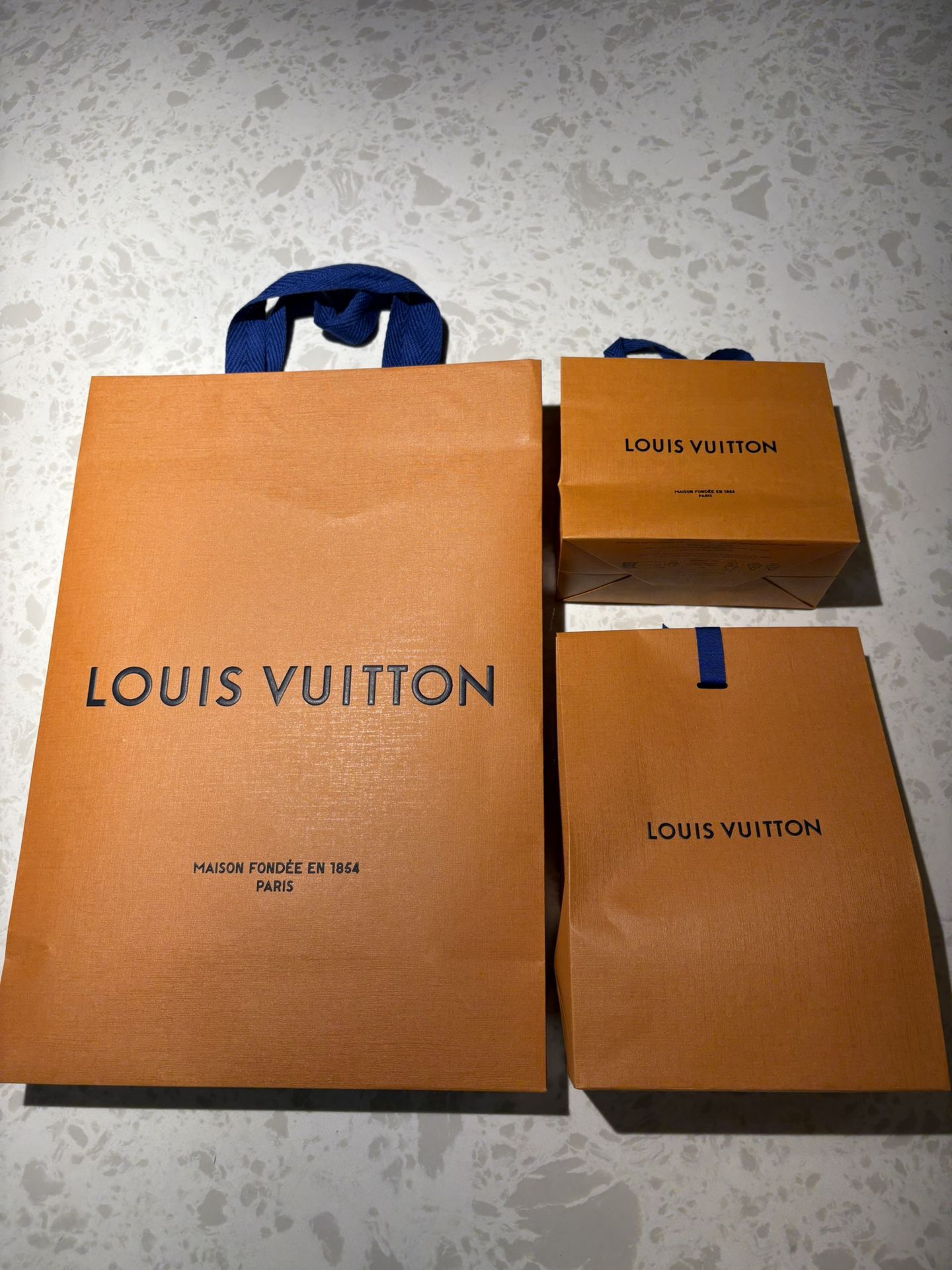 Authentic Louis Vuitton Paper Bag