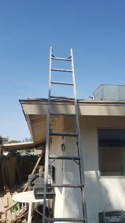 Collapsable Straight Ladder