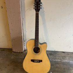 Acoustic Electric Guitar