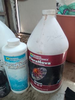 Growing plants