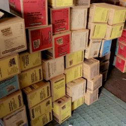 Cases Of Scout Cookies 