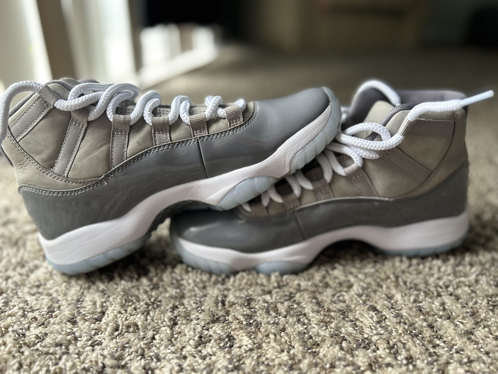 Cool Grey 11a