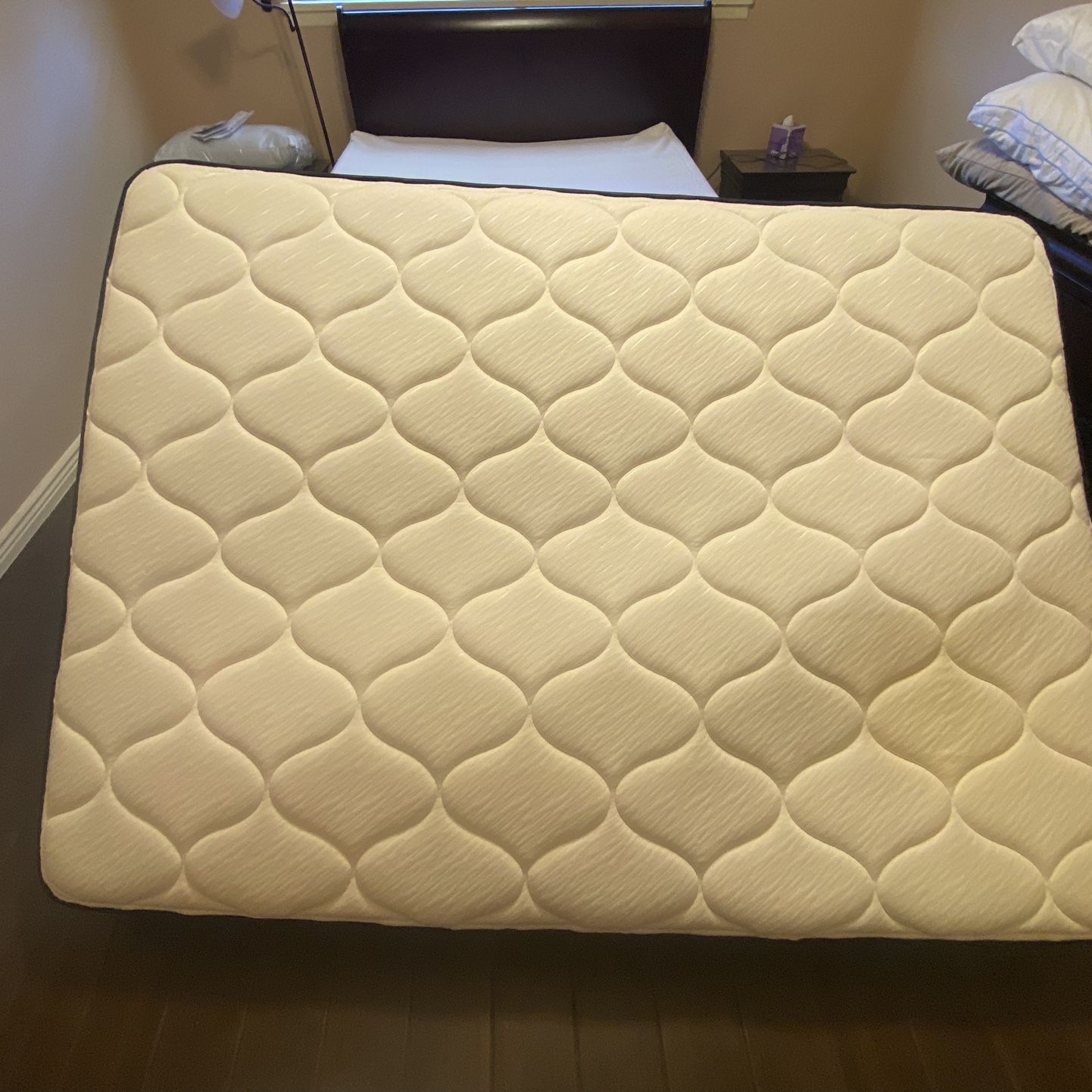 Two queen-sized mattresses