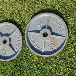 Olympic Weights 45 Lbs Pair