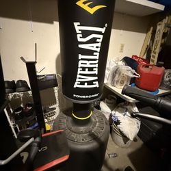 Punching Bag/ Gloves 