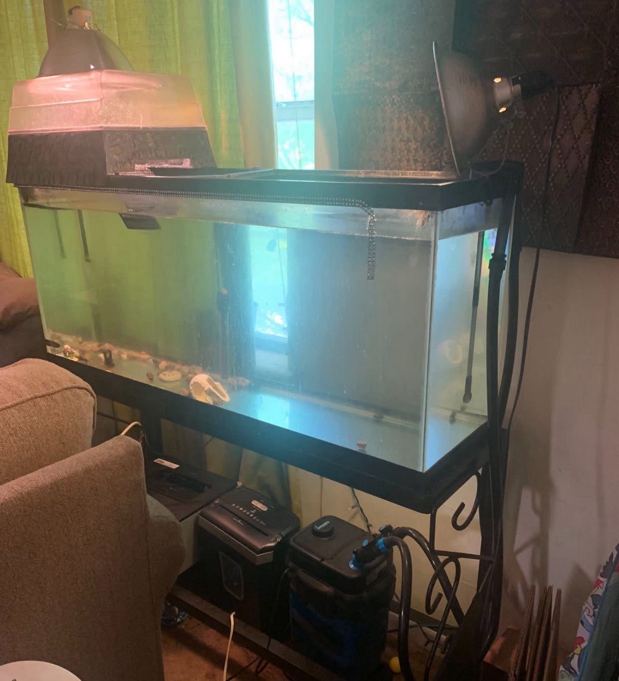 55 Gallon Tank With Light & Stand