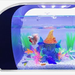 5 Gallon Arc-Shaped Glass Fish Tank Aquarium w/LED Lights - Kit w/Filter, Pump, Media & More
