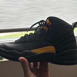 Jordan 12 need gone