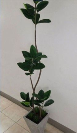 8ft Faux Fiddle Leaf Fig Tree with Dragon Blood Stone in a Gray Ceramic Planter @ Lasting Creations