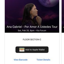 Ana Gabriel VIP