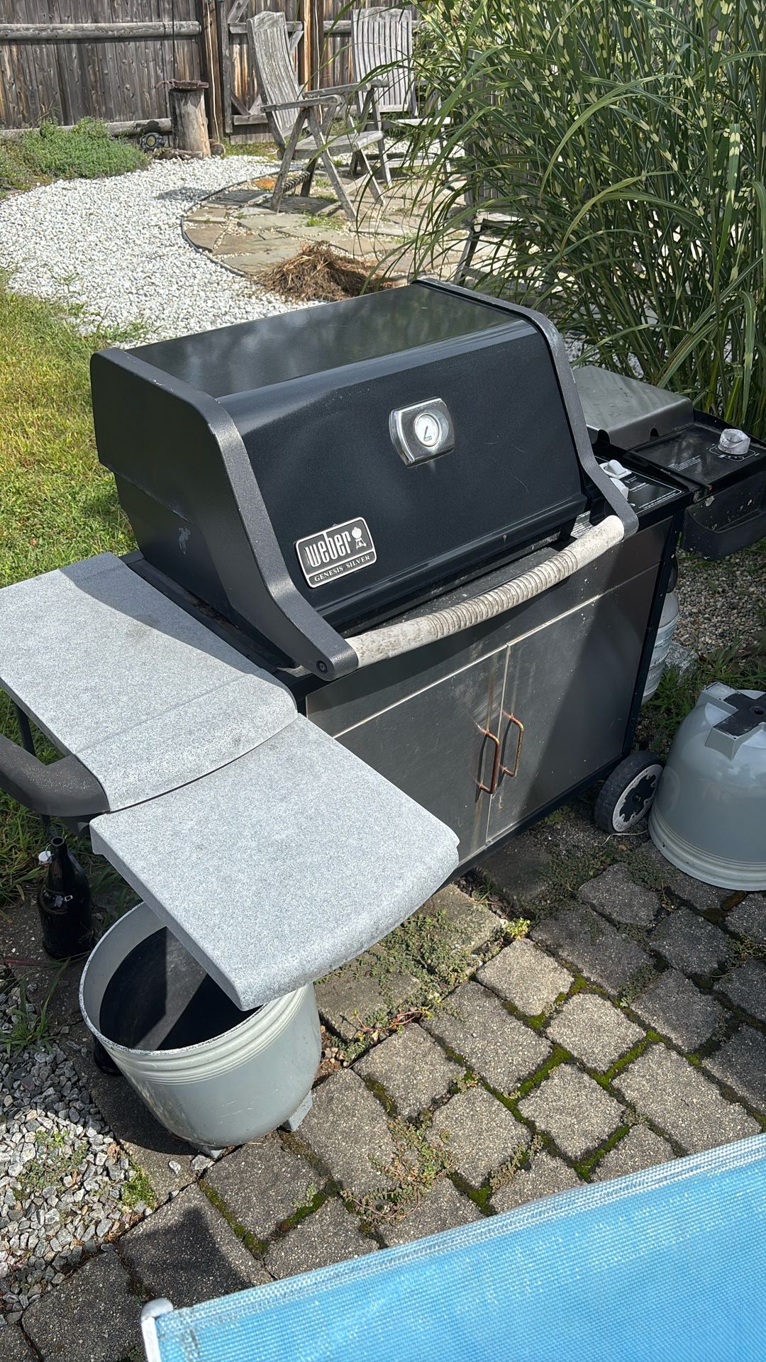 Weber Genesis Silver