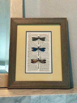 Custom Framed Dragonfly Print on Vintage Dictionary Page, Upcycled Shabby Chic Cottage Art