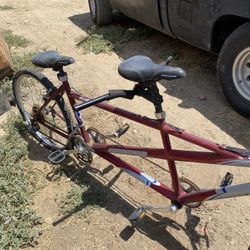 Two Person Bike
