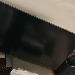 HP Monitor 