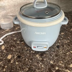 personal rice cooker 