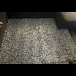 Area Rug
