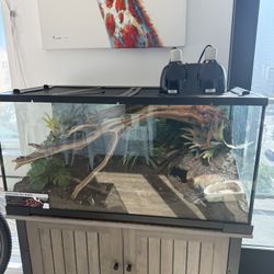 50 Gallon Enclosure Honduras Milk Snake