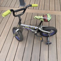 Ninja Turtle Bike 