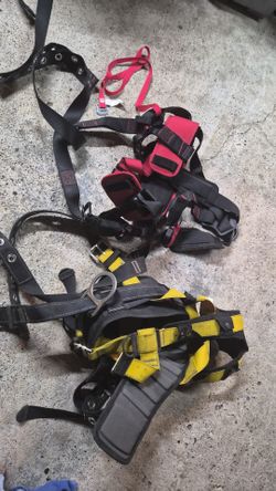 Safety harness