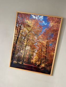 Frame picture