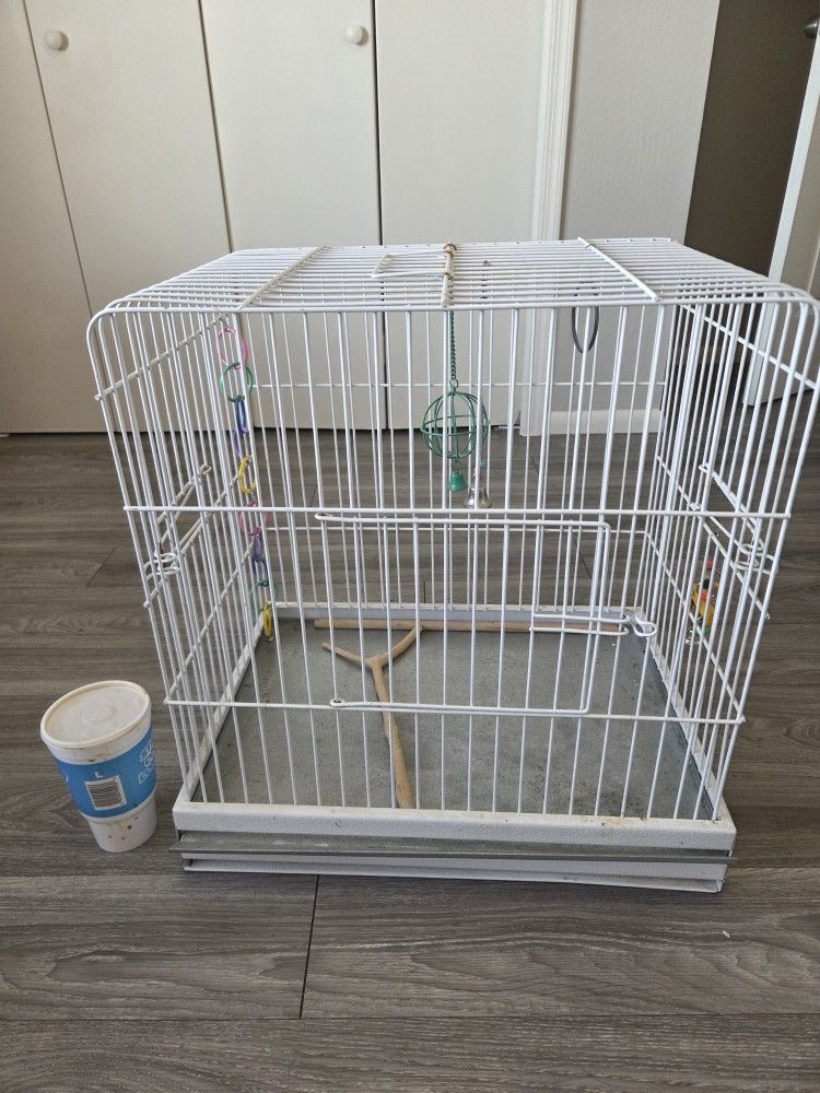 Bird Cage