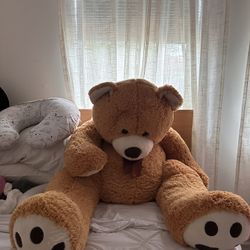 Teddy Bear