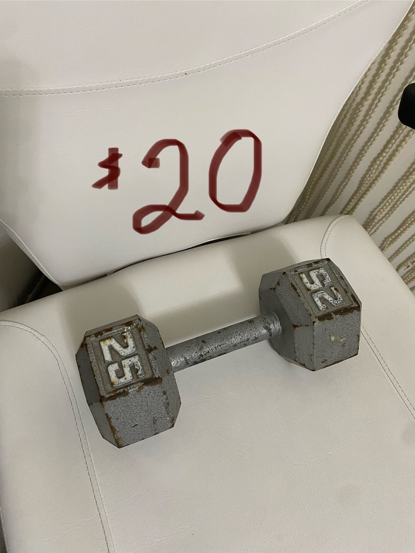 1 (One) 25 Lb Dumbbell 