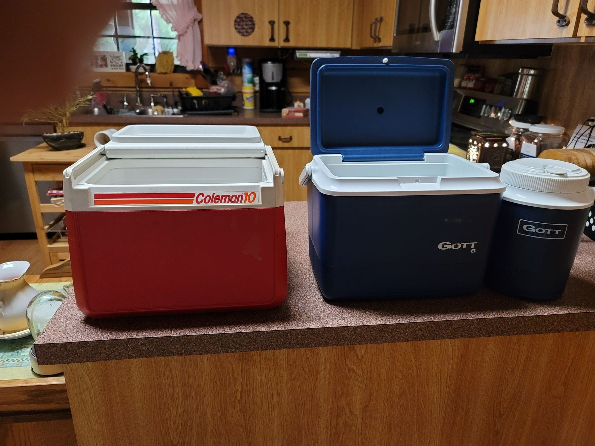 Small Ice Chests for Sale in Webster, FL OfferUp
