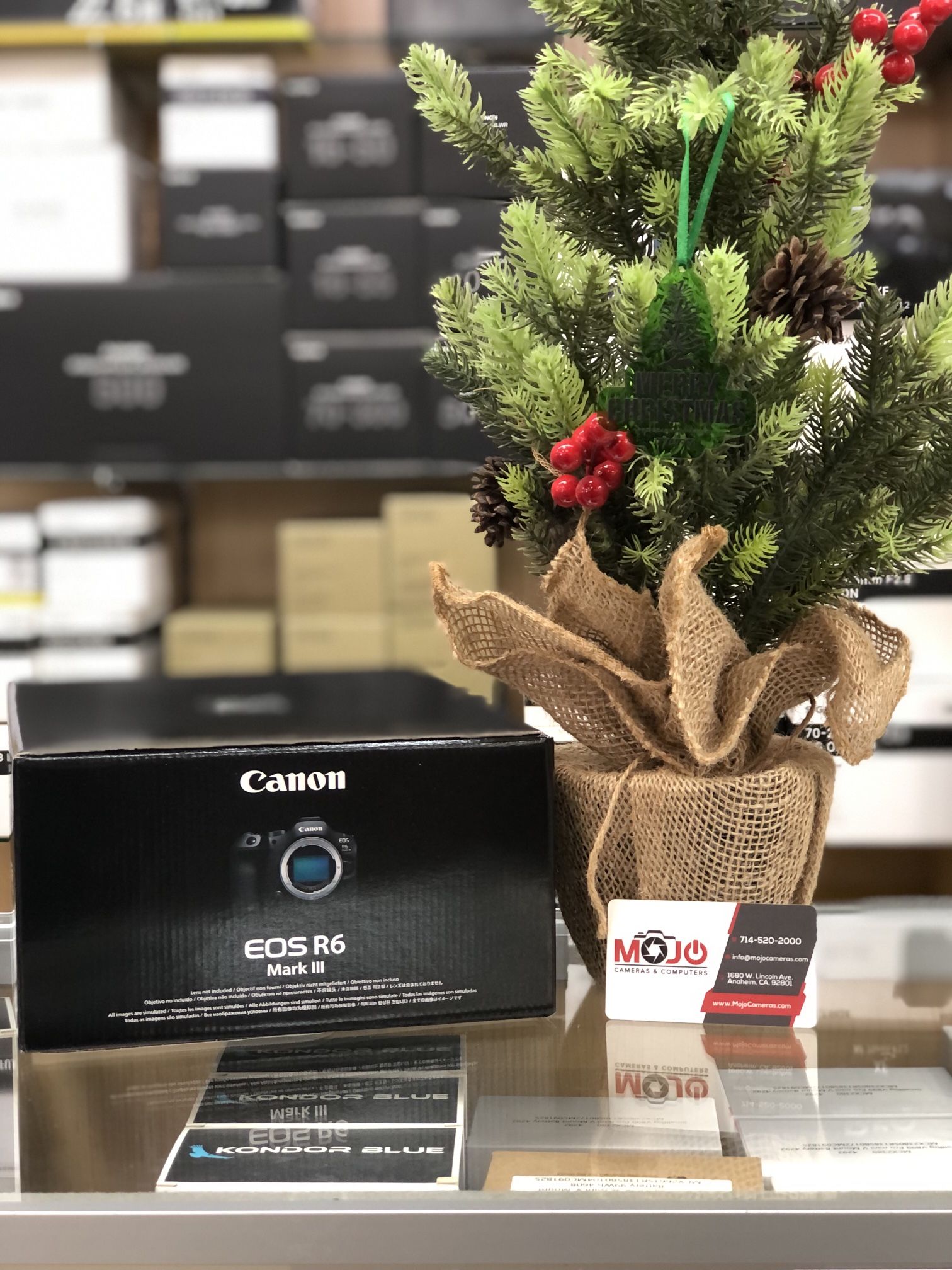 Canon R6 Mk iii Camera Body