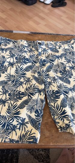 Hudson and barrow shorts