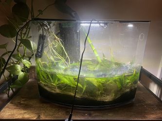 5 Gallon fish tank 