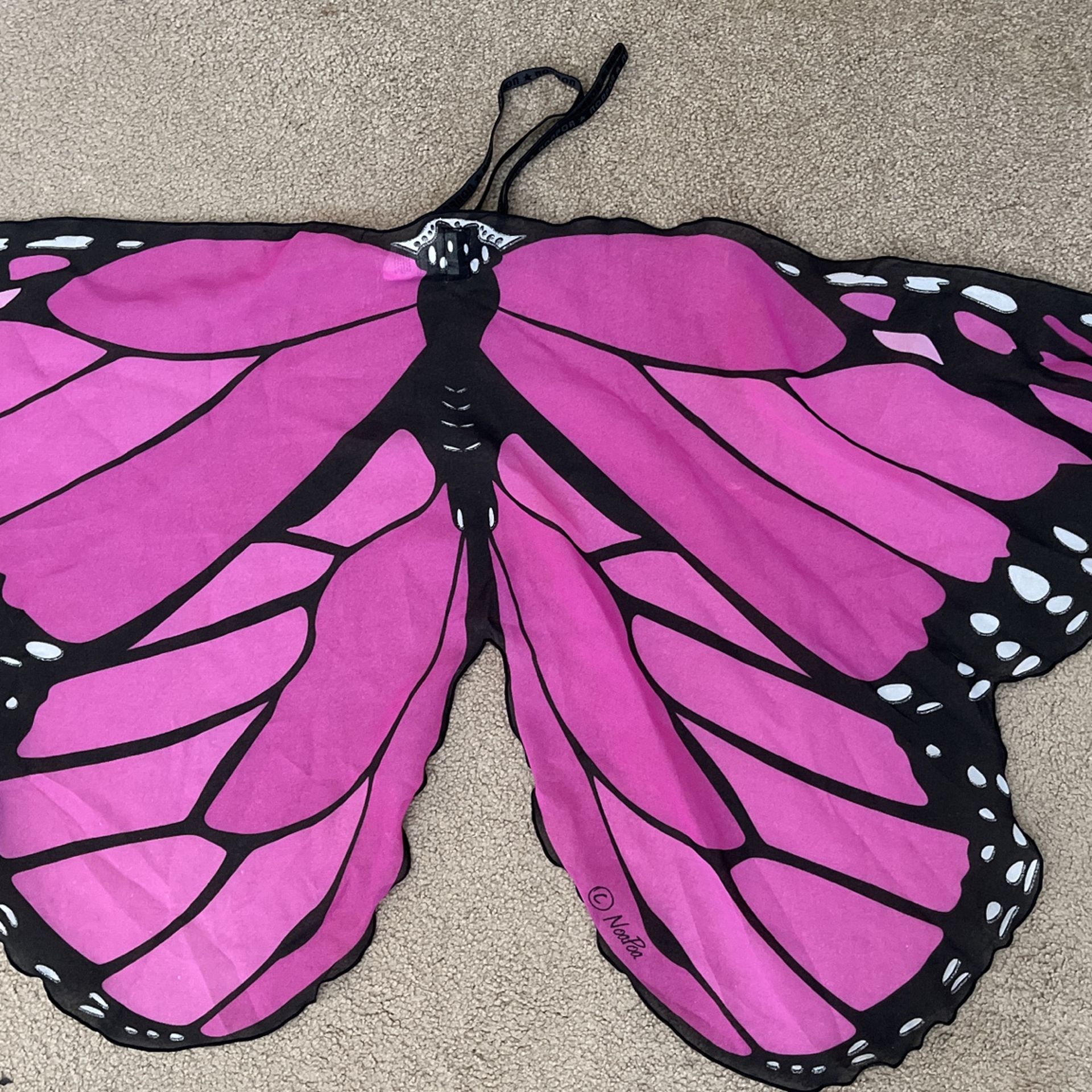 Butterfly Wings