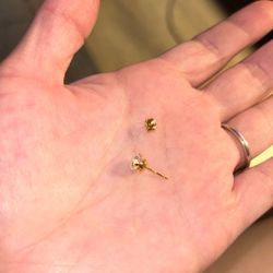 14k Stamped Moissanite Earrings 