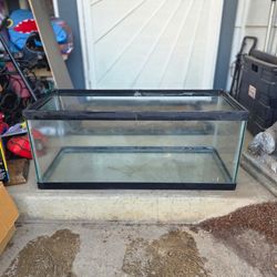 20 gallon breeder tank