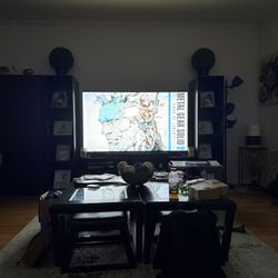 75 In TLC ROKU TV 