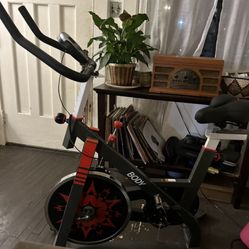 Vig Body Exercise Bike