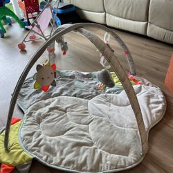 Baby Gym Skip Hop 