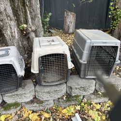 Dog Crates