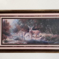 Buck Deer in Forest Framed Print 17” 1/2 x 30” 1/2 Wall Decor