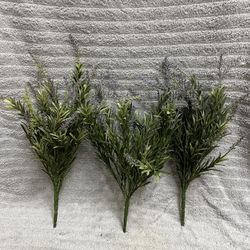 Lavender Bush 