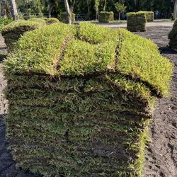 Fresh  Cut Sod